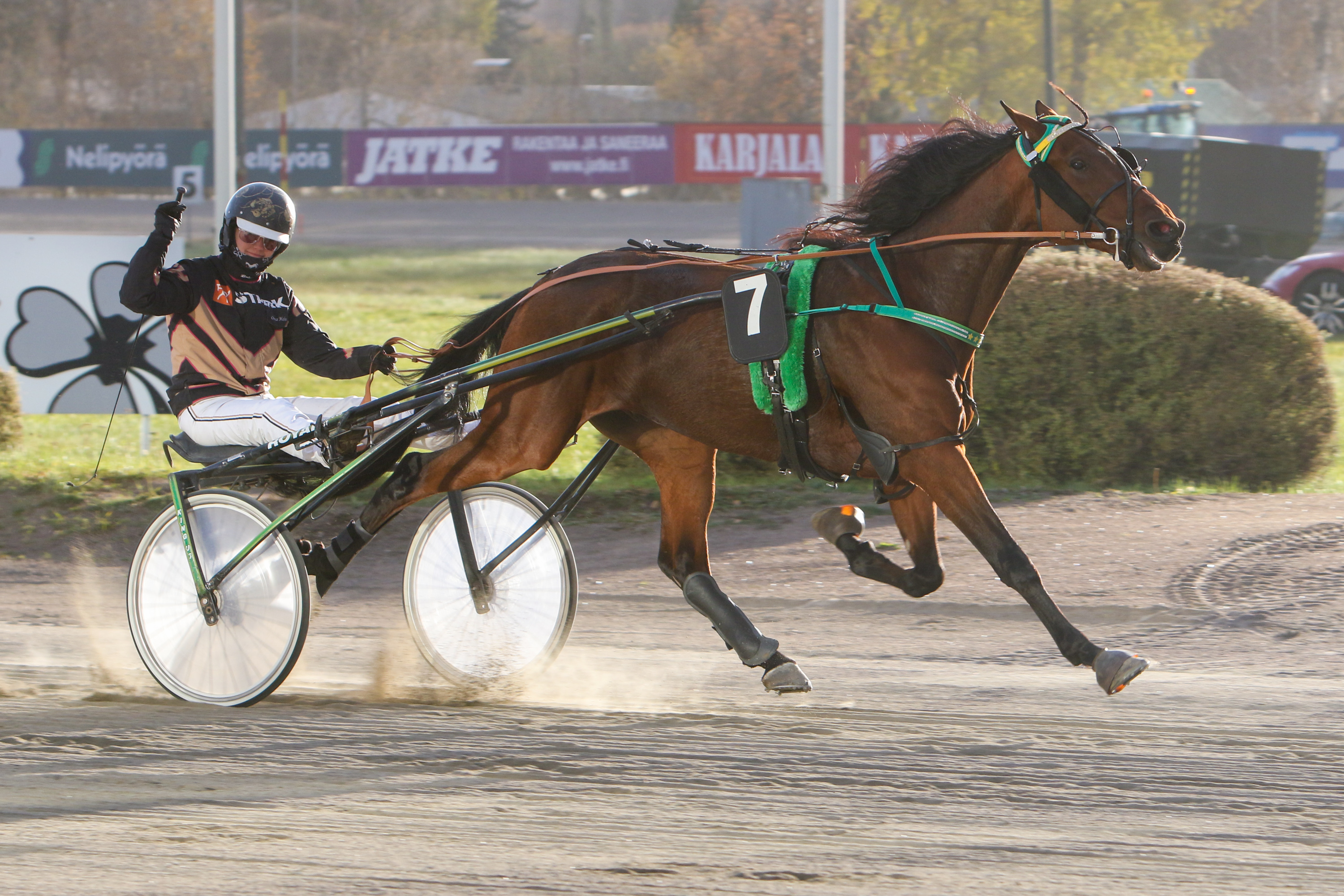 Oona Halmeen ohjastama Bigwig Swamp on vihjerivin toinen varma.