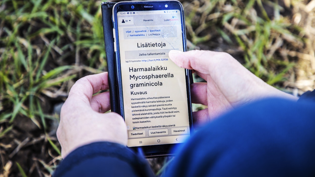 Palvelun käyttäminen soveltuu jatkossakin CAP-toimenpiteeksi. Arkistokuva.