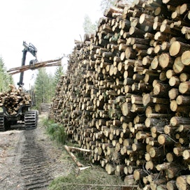 Metsäteollisuus ry:n jäsenet ovat tänä vuonna ostaneet puuta selvästi vähemmän tämän vuoden aikana kuin viime vuonna samaan aikaan.
