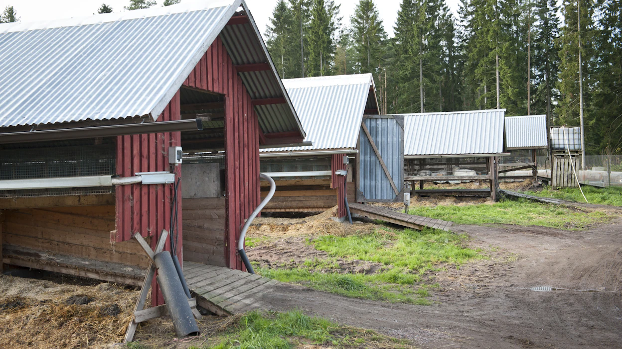 Turkisala on Suomessa merkittävä työllistäjä sekä maaseudun elinvoiman ylläpitäjä.