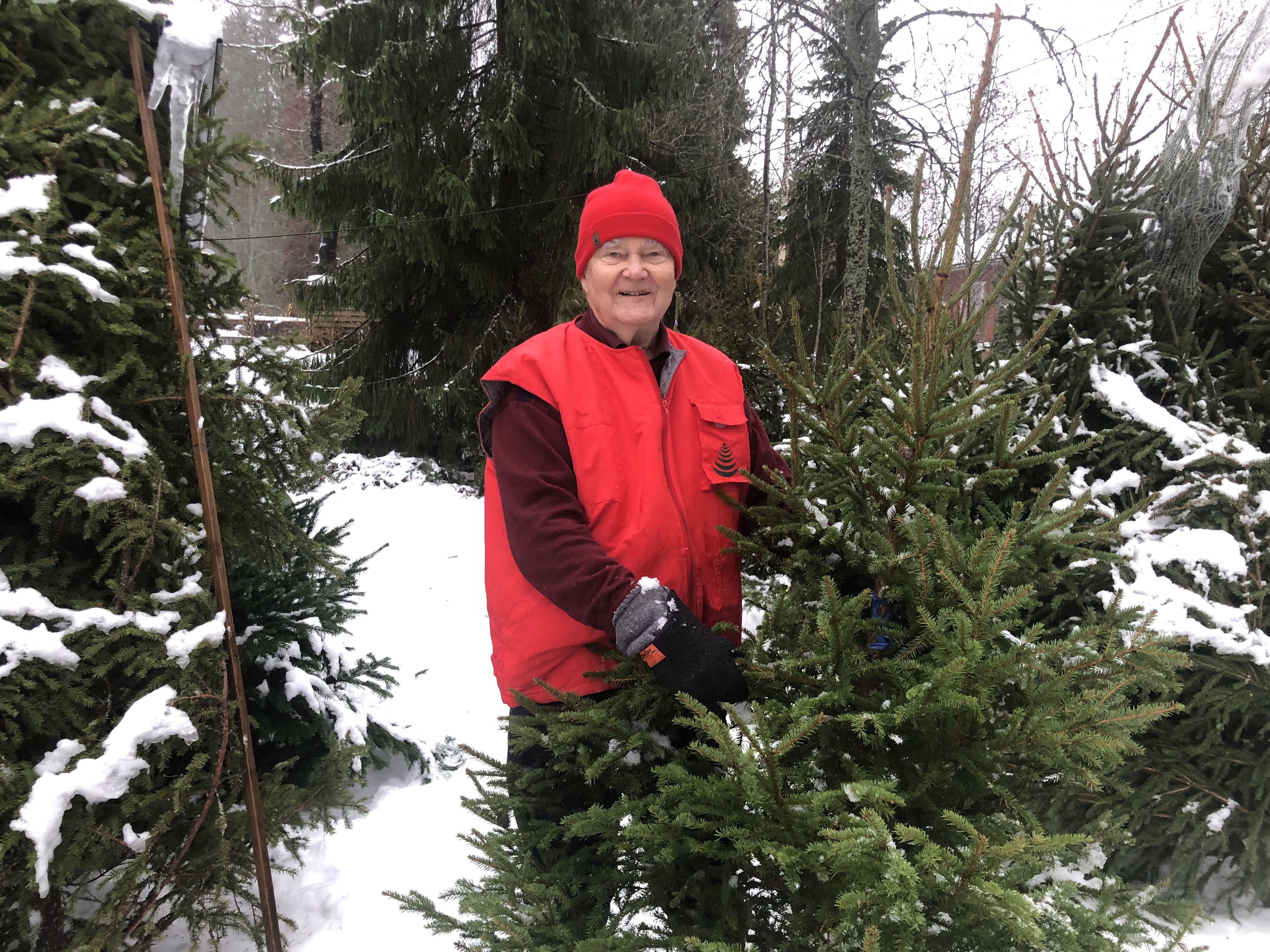 Seppo Hartikainen myy kuusia hiukan myös verkossa. Hän keksi perustaa Joulukuusi.fi-sivuston heti, kun .fi-verkkotunnus syntyi.