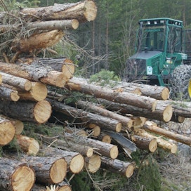 Ranka ja muu sahalle kelpaamaton puu voidaan hyödyntää sekä sellunkeittoon että energiaksi. Kilpailu puusta kovenee etenkin Etelä-Suomessa.