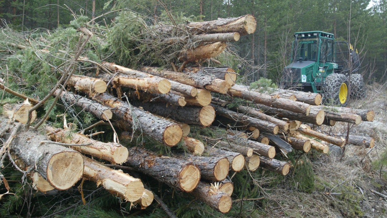 Ranka ja muu sahalle kelpaamaton puu voidaan hyödyntää sekä sellunkeittoon että energiaksi. Kilpailu puusta kovenee etenkin Etelä-Suomessa.