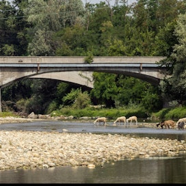 Italiassa virtaavan Po-joen pinta on poikkeuksellisen matalalla pitkään jatkuneen kuivuuden takia.