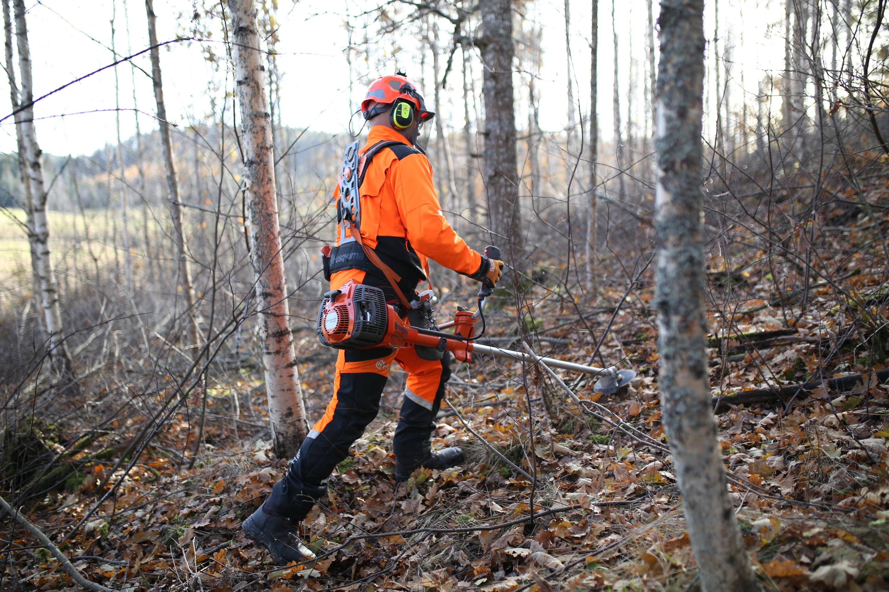 Husqvarnan lyhyt runkoputki oli jyrkässä rinteessä eduksi. Jorma Halonen maisemanhoitotöissä.