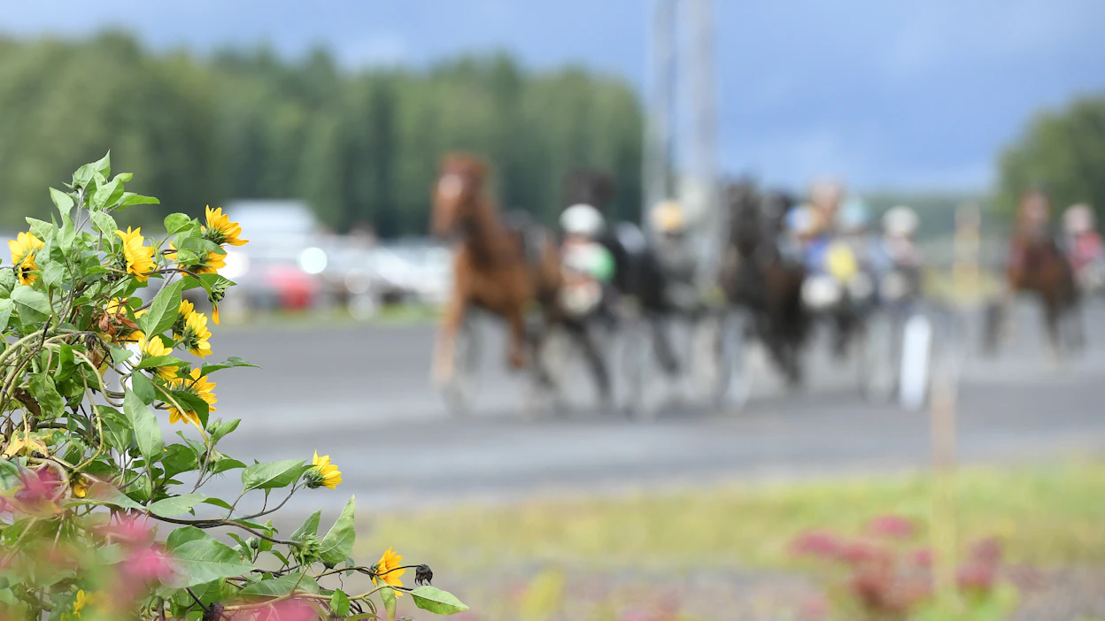 Ruotsissa kaikkien raviratojen sarjojen laatiminen keskitetään yhdelle päätekijälle ja hänen apulaiselleen.