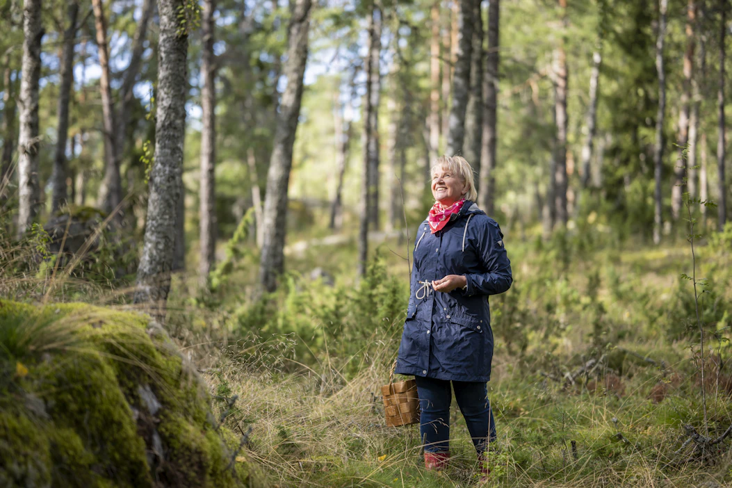 Hanna Pyhäranta kävelee mielellään kotitalon lähellä sijaitsevissa metsiköissä. Syyskesällä mukana on usein marja-astia tai sienikori.