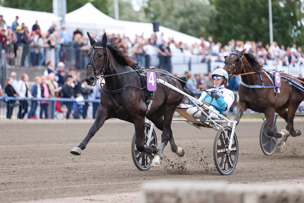 Kymi GP on Kouvolan raviradan vuoden tärkein ravitapahtuma.