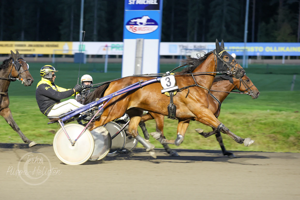 Run Runaway voitti Henri Bollströmin ohjastamana 10000 euron ykköspalkinnolla ajetun Mikkeli Cupin finaalin viime syyskuussa.