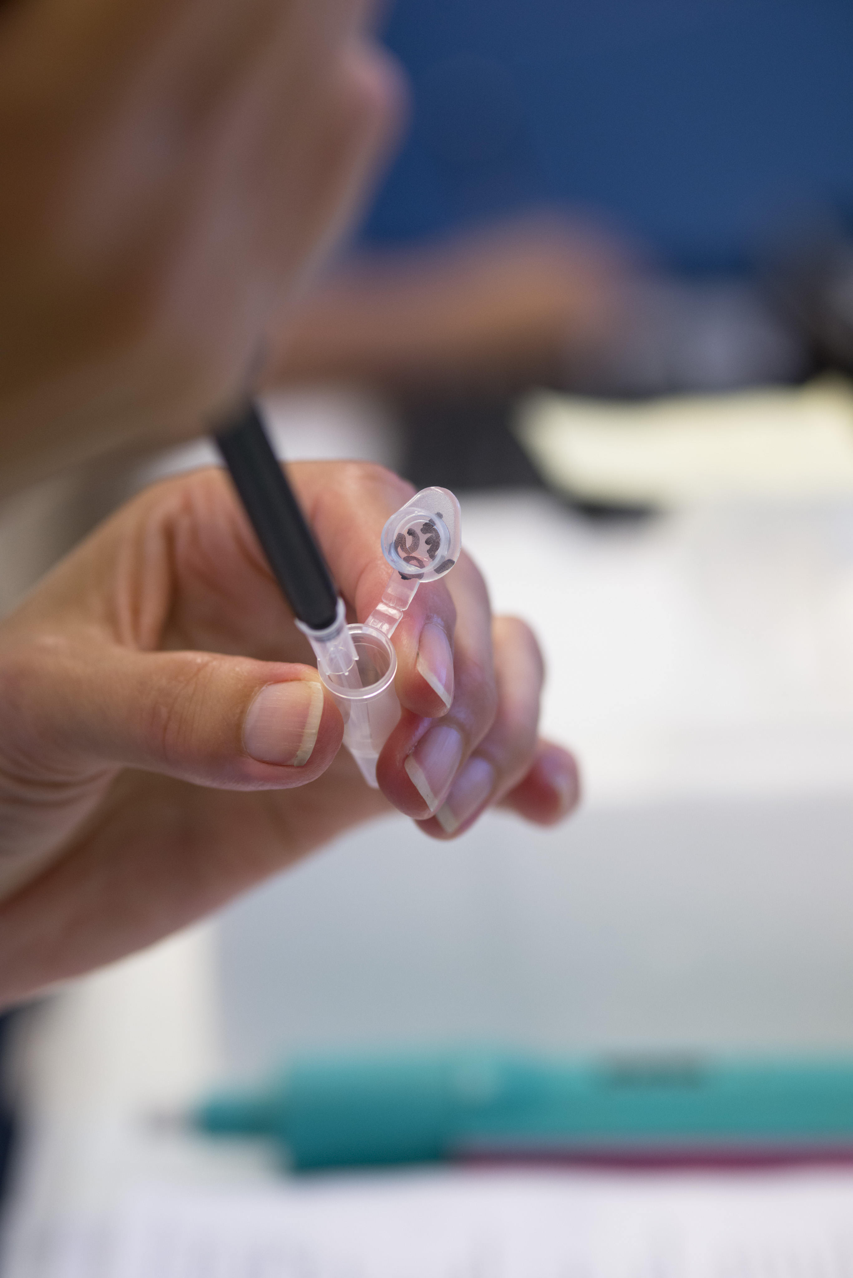 Espanjalaisista villisioista löydettyä ASF-virusta ei tiettävästi esiinny luonnossa. 