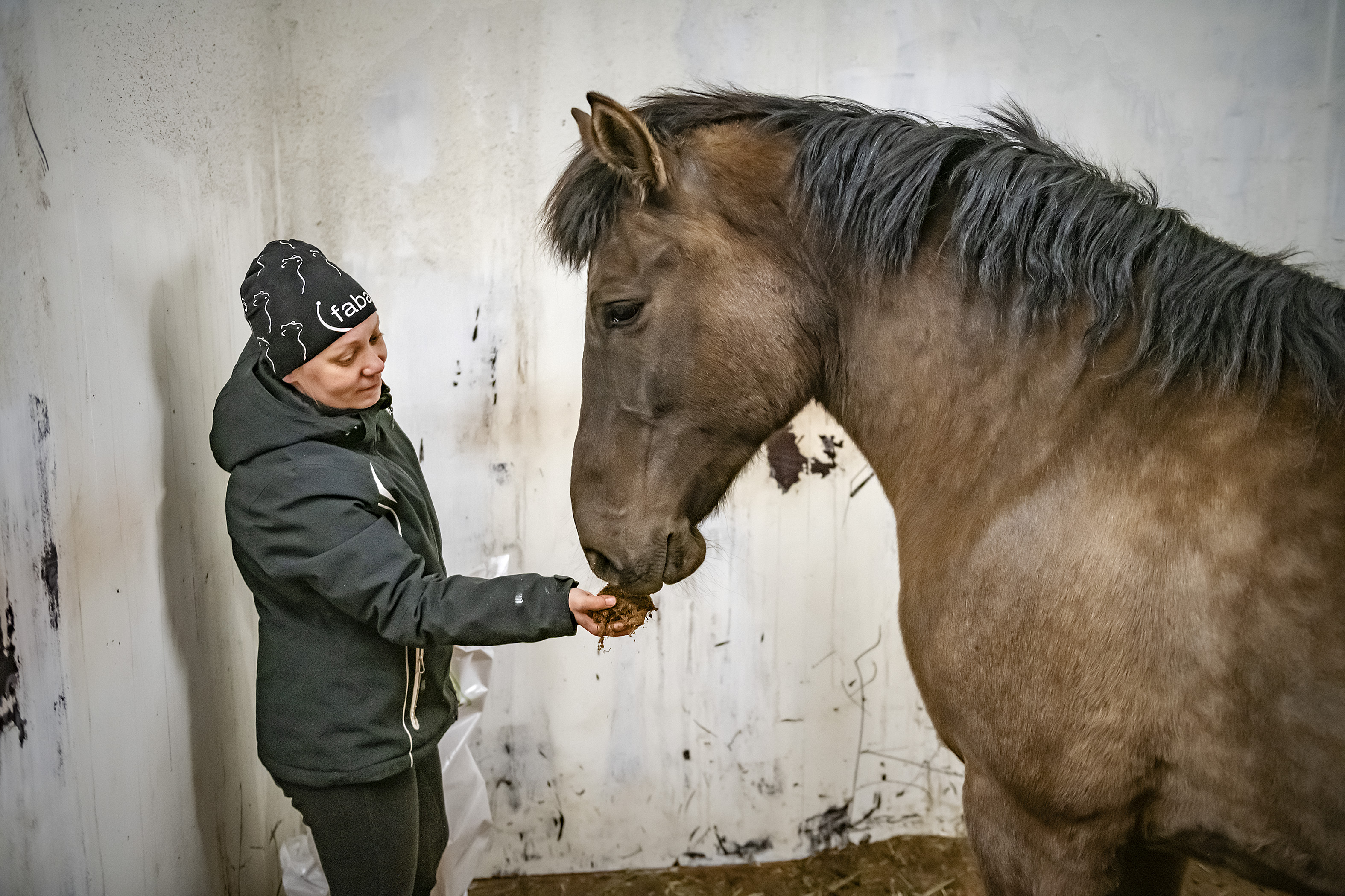Eeva Vainio löysi tyttärelleen hyvän ratsun, Virkun Vapun.