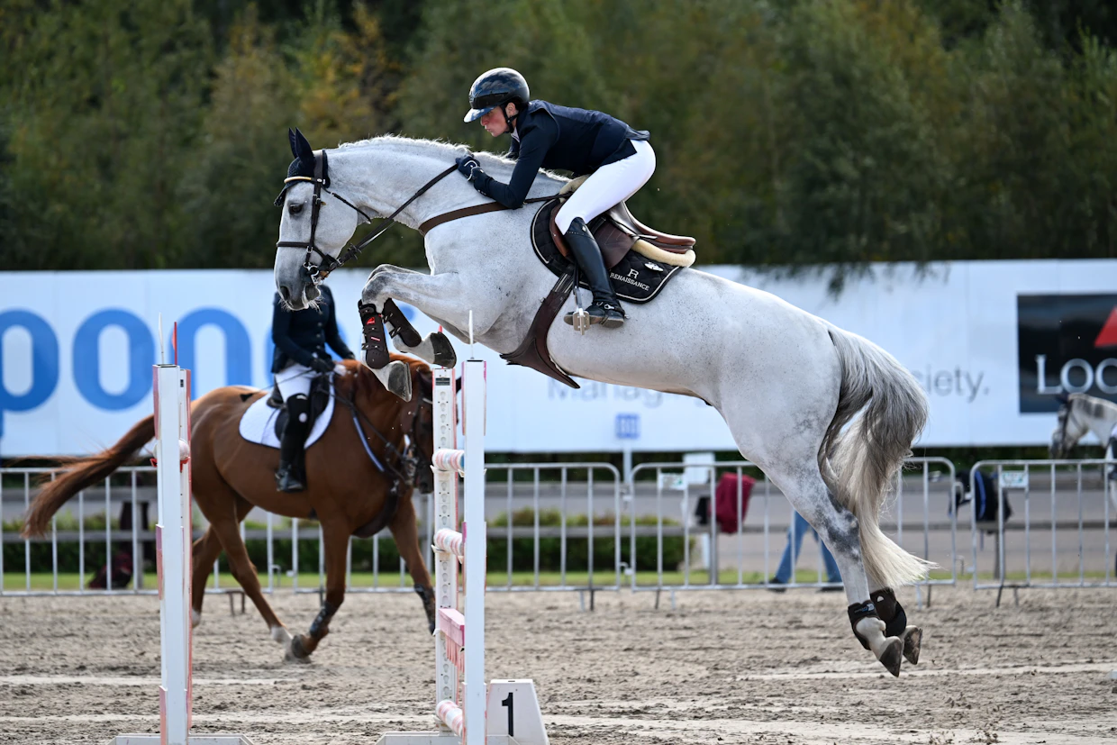 Nuorena hevosena KG Corazon oli mukana Ruotsin olympiaprojektissa, mutta siitä tulikin Suomen esteratojen kestotähti.