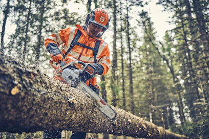 Sähkösahojen markkinaosuus kasvaa, mutta ruotsalainen sahavalmistaja Husqvarna jatkaa myös polttomoottorisahojen tuotekehitystä. Uusi ammattimalli XP 562 tulee markkinoille syksyllä.
