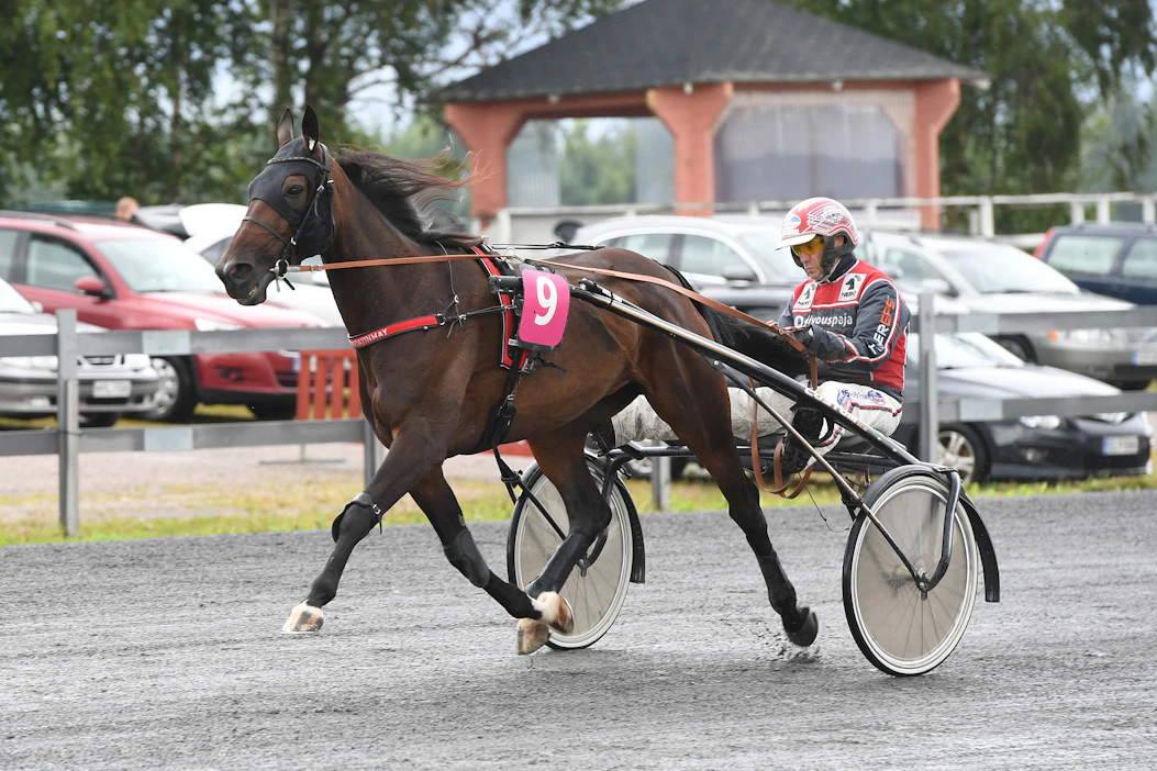 Lastsundayinmay ja Mauri Jaara ovat tehneet varmaa jälkeä viime kausilla. Nyt norjalaistamma on siirtynyt Tapani Raunion ja Juha Saarijärven siitostammaksi.