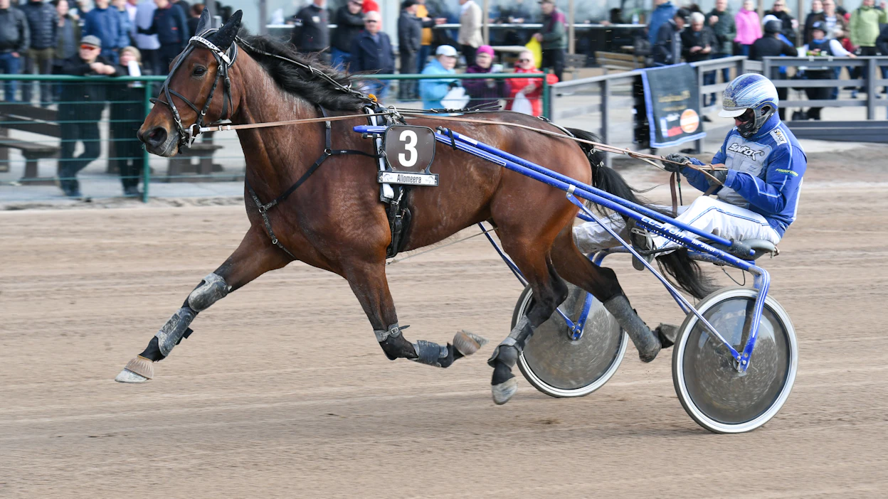 Amazing Player avasi nelivuotiskautensa Seinäjoki Racen kovatasoisessa nelivuotislähdössä. Ohjissa oli Jarmo Saarela.