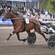 Massimo Hoist ja Hannu Torvinen eivät kilpaile Elitloppetissa.