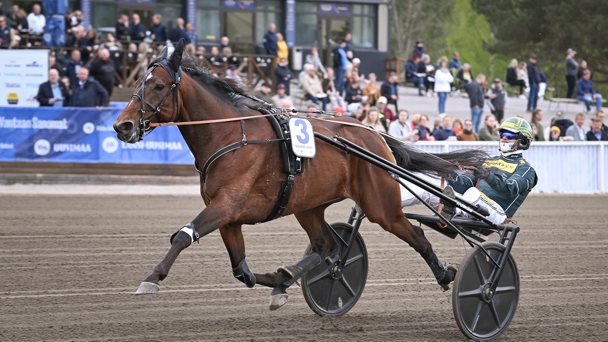Massimo Hoist ja Hannu Torvinen eivät kilpaile Elitloppetissa.