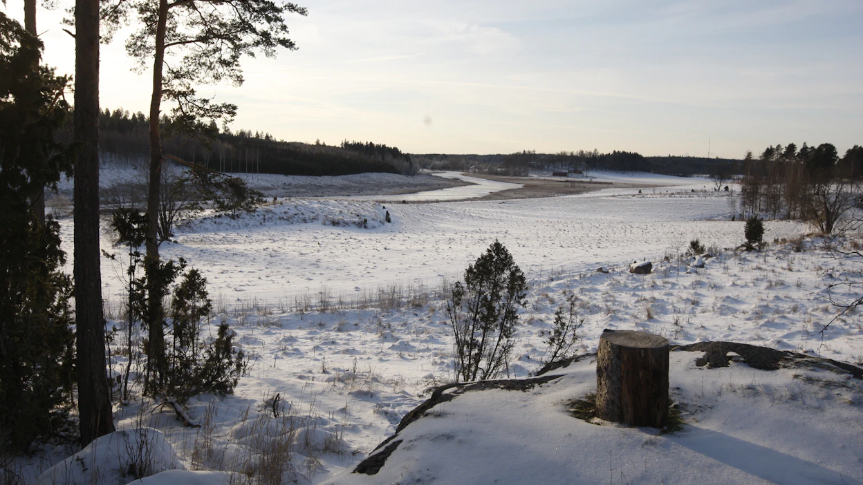 Metsästäjäliiton yksi keskeisistä arvoista on luonnon kunnioittaminen, liitto tiedottaa.