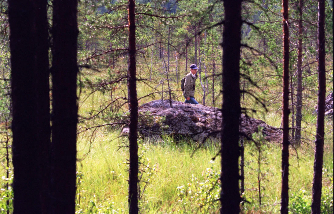 Ympäristökeskuksen tutkijat kartoittivat Natura-alueita jo vuonna 1998. Viime kesänä on käyty yli 200 metsässä.