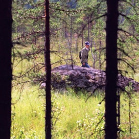 Ympäristökeskuksen tutkijat kartoittivat Natura-alueita jo vuonna 1998. Viime kesänä on käyty yli 200 metsässä.