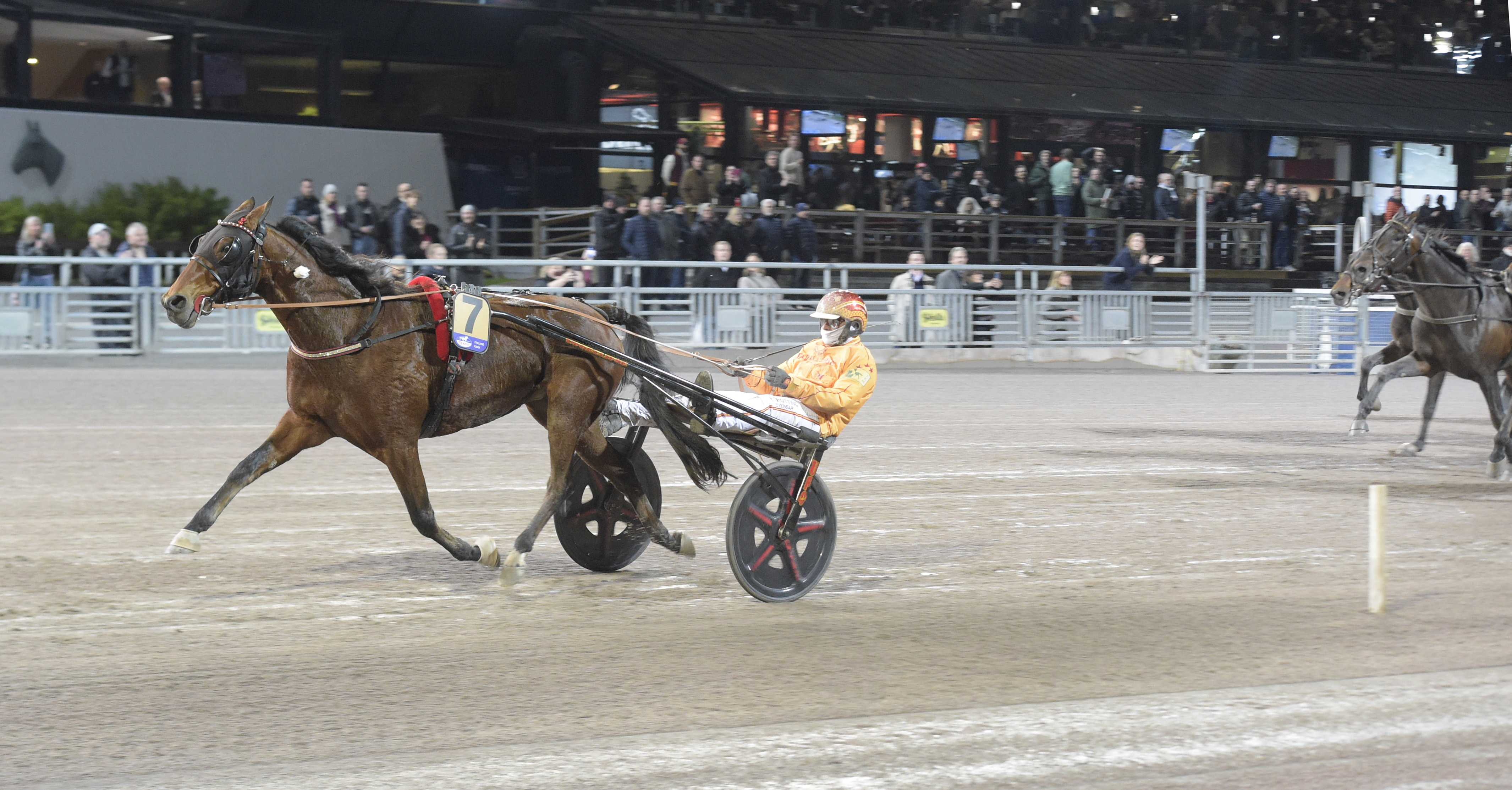 Alessandro Gocciadoron huippukuntoinen Clarissa oli Solvallassa omaa luokkaansa.