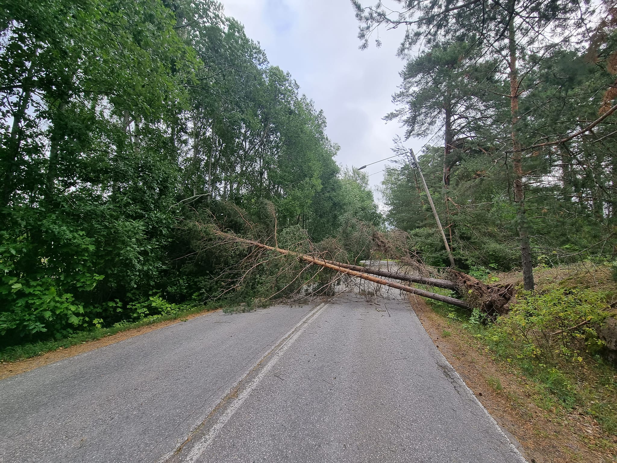Lohjalainen Jyrki Paavola kuvasi tiistaiaamupäivänä Vappulantien yli kaatuneen puun Lohjalla.