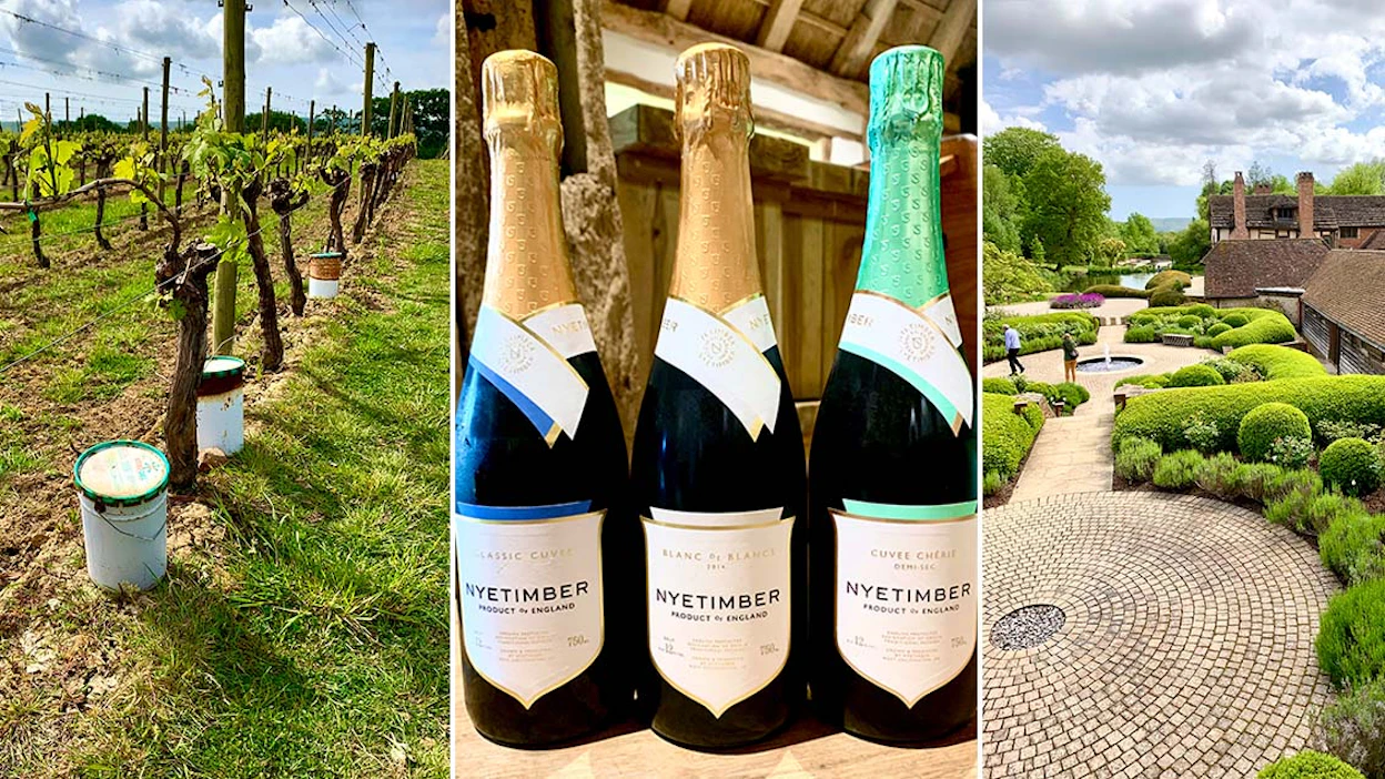 Palkittu viinitalo Nyetimber kasvattaa noin 300 hehtaaria viiniköynnöksiä kolmella viinialueella. Ensimmäiset viiniköynnökset istutettiin vuonna 1988. Tila oli maan ensimmäinen, joka teki kuohuvaa samppanjarypäleistä. Alkon valikoimissa on tällä hetkellä tilan neljä kuohuvaa (21—65 euroa).