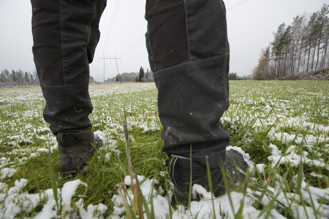Tilaisuuksissa kootut viljelijöiden viestit ja ratkaisuehdotukset turvepeltojen ennallistamisesta saadaan suoraan asetuksen kansalliseen valmisteluun, sanoo erityisasiantuntija Joel Rouvavuori maa- ja metsätalousministeriöstä. Kuvituskuvassa turvepeltoa. 