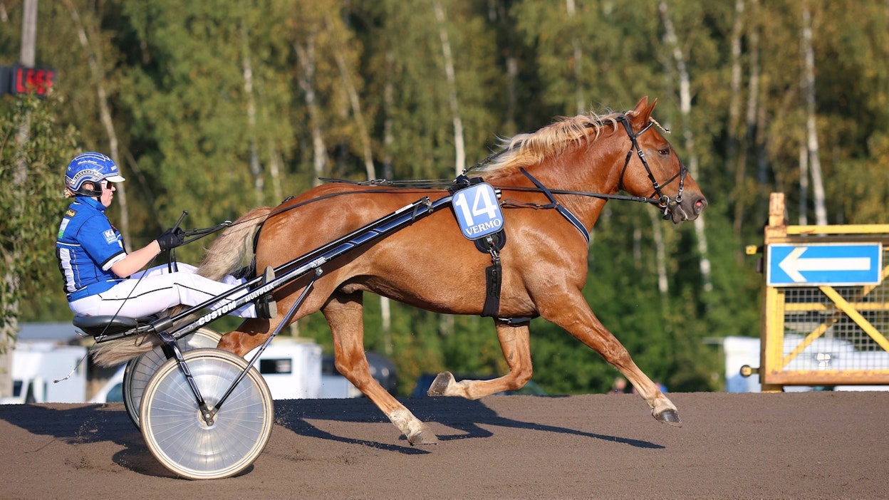 Henriikka Rantanen (kuvassa) on ohjastanut useimmat Aronaksin viimeaikaiset startit. Lauantaina ohjaksiin tarttuu Kai Kulhoranta.