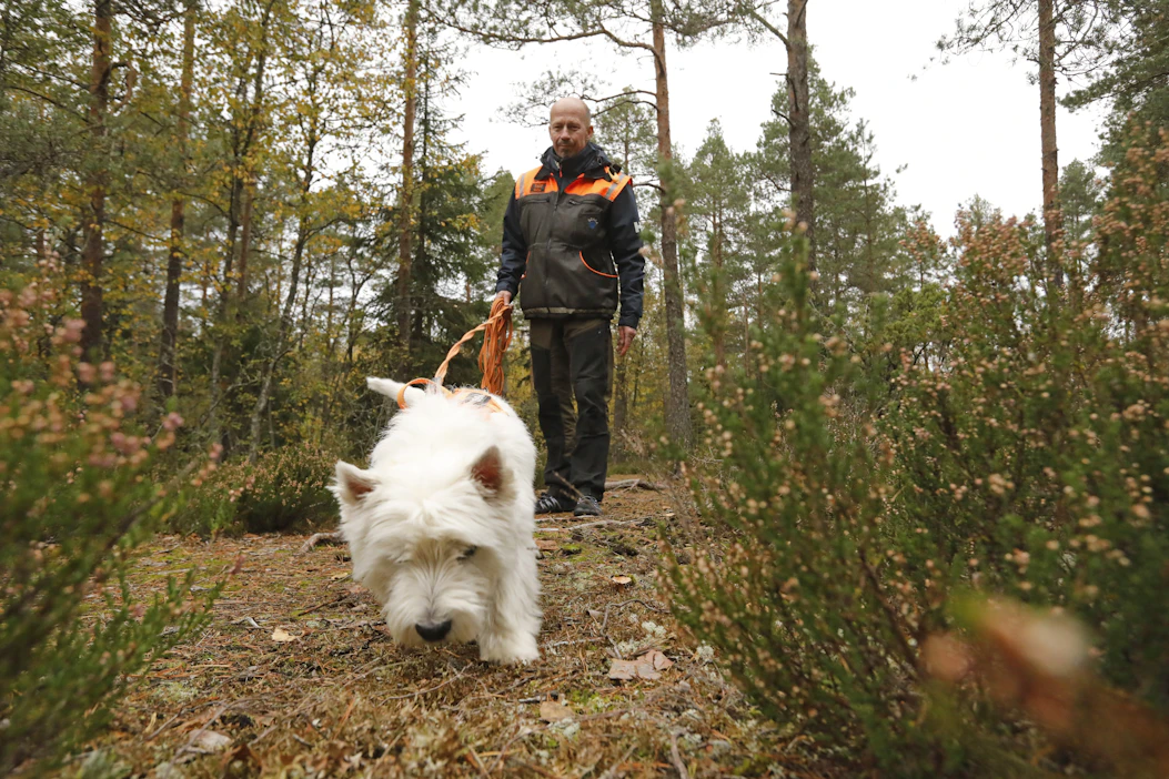Ulkomuodostaan huolimatta Osku on käynyt läpi kaikki tarvittavat testit ja loppukokeet. Koirakon toisen osan muodostaa ohjaaja Leif Fredriksson.