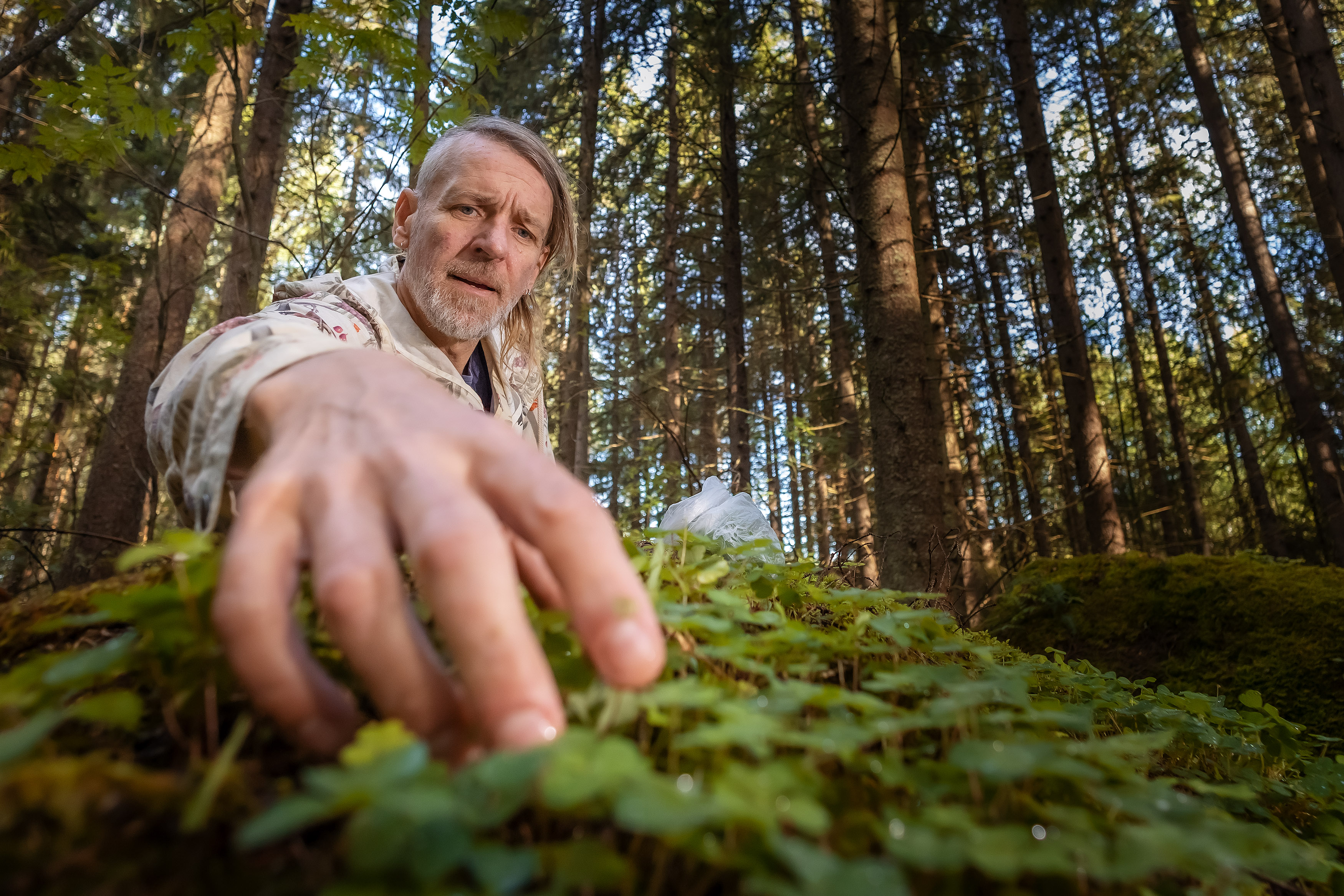 Jyrki Tsutsunen keräsi elokuussa Porvoon Sikosaaressa ketunleipiä 15 hengen illallisen koristeiksi. ”Luontoa katsoo toisella tavalla, kun sieltä kerää jotain.”