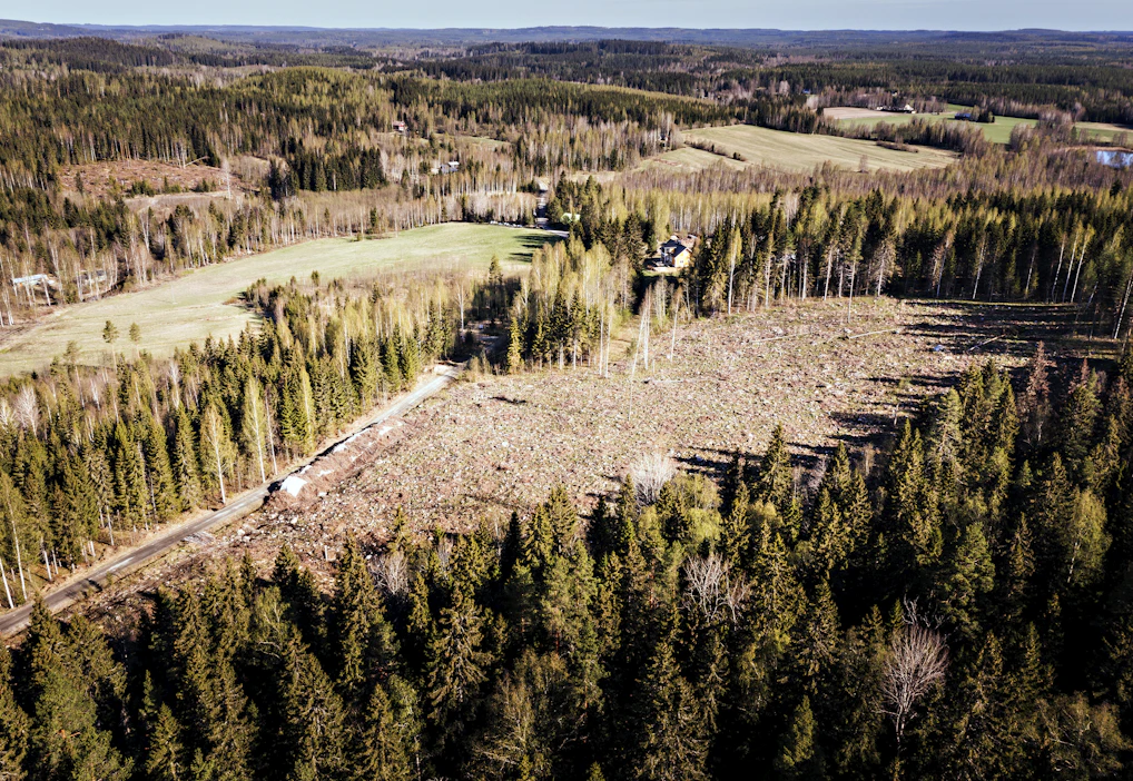 Markkinahintatason nousu vaikutti kokonaistuottoon enää 0,7 prosenttiyksikköä, kun aiemmin hintatason nousun osuus on ollut yli puolet, kertoo Suomen Sijoitusmetsät.