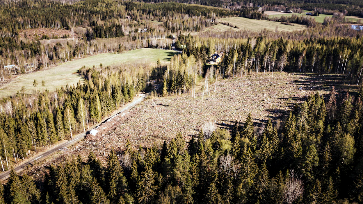 Avohakkuut monimuotoistavat ympäristöä. Kirjoittajan mielestä niiden lopettaminen aiheuttaisi luontokatoa ja suurta ahdinkoa monille avointa tai puoliavointa elinympäristöä vaativille lajeille.