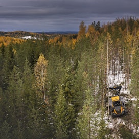 Metsät ovat niitä harvoja luonnonvaroja, joiden suhteen Suomi on yliomavarainen. 