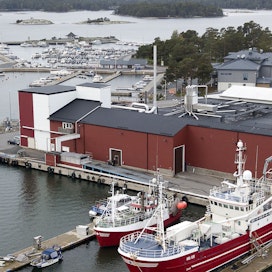 Kasnäsissa sijaitseva Salmonfarm muun muassa kasvattaa kalaa ja valmistaa kalajauhoa. Vuoden 2024 silakkakiintiön pienentyminen tuo toimintaan haasteita.