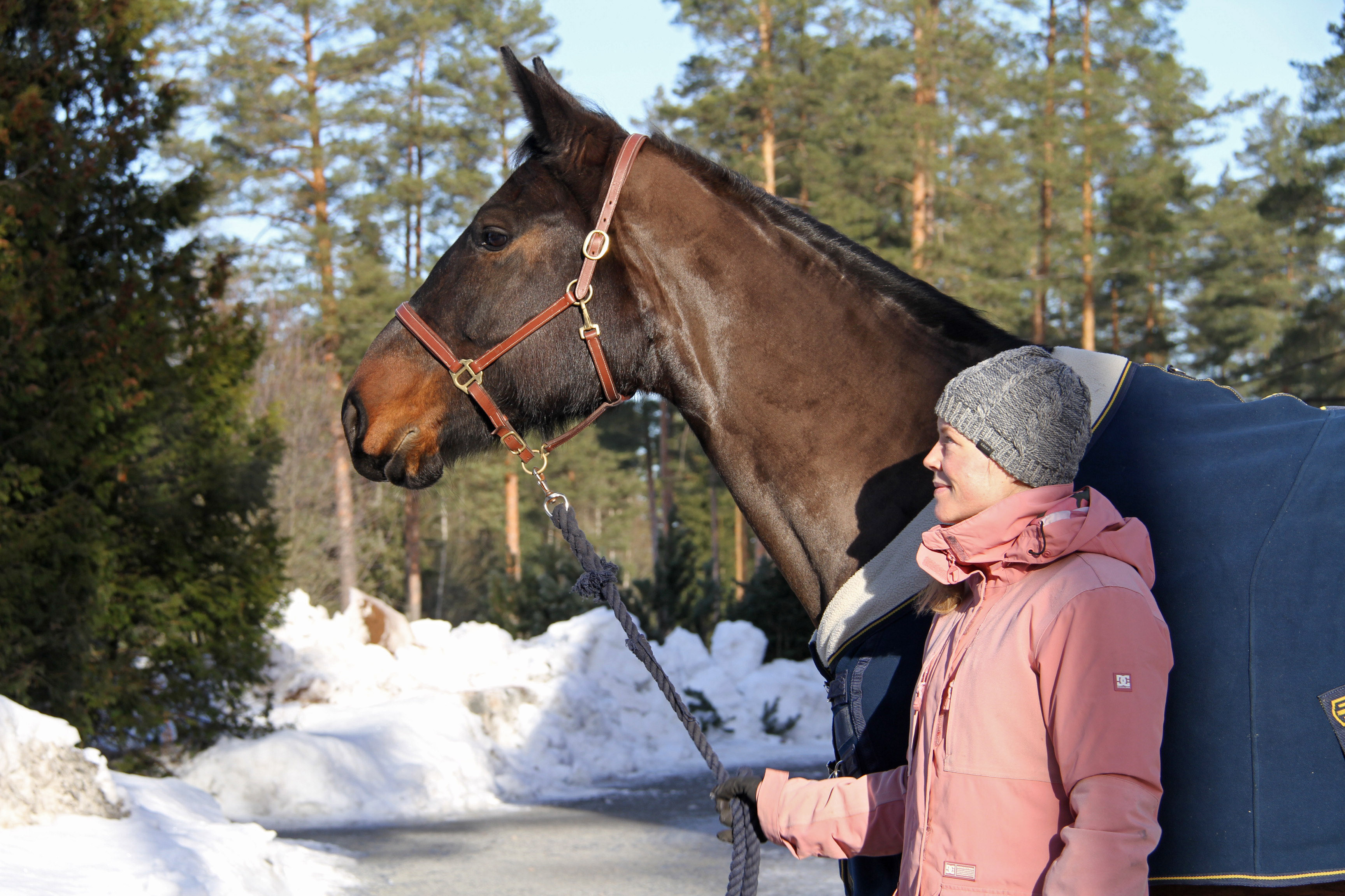 Kirsi Oksasen oma kilparatsu on 11-vuotias FWB-tamma Thunder of Love. 