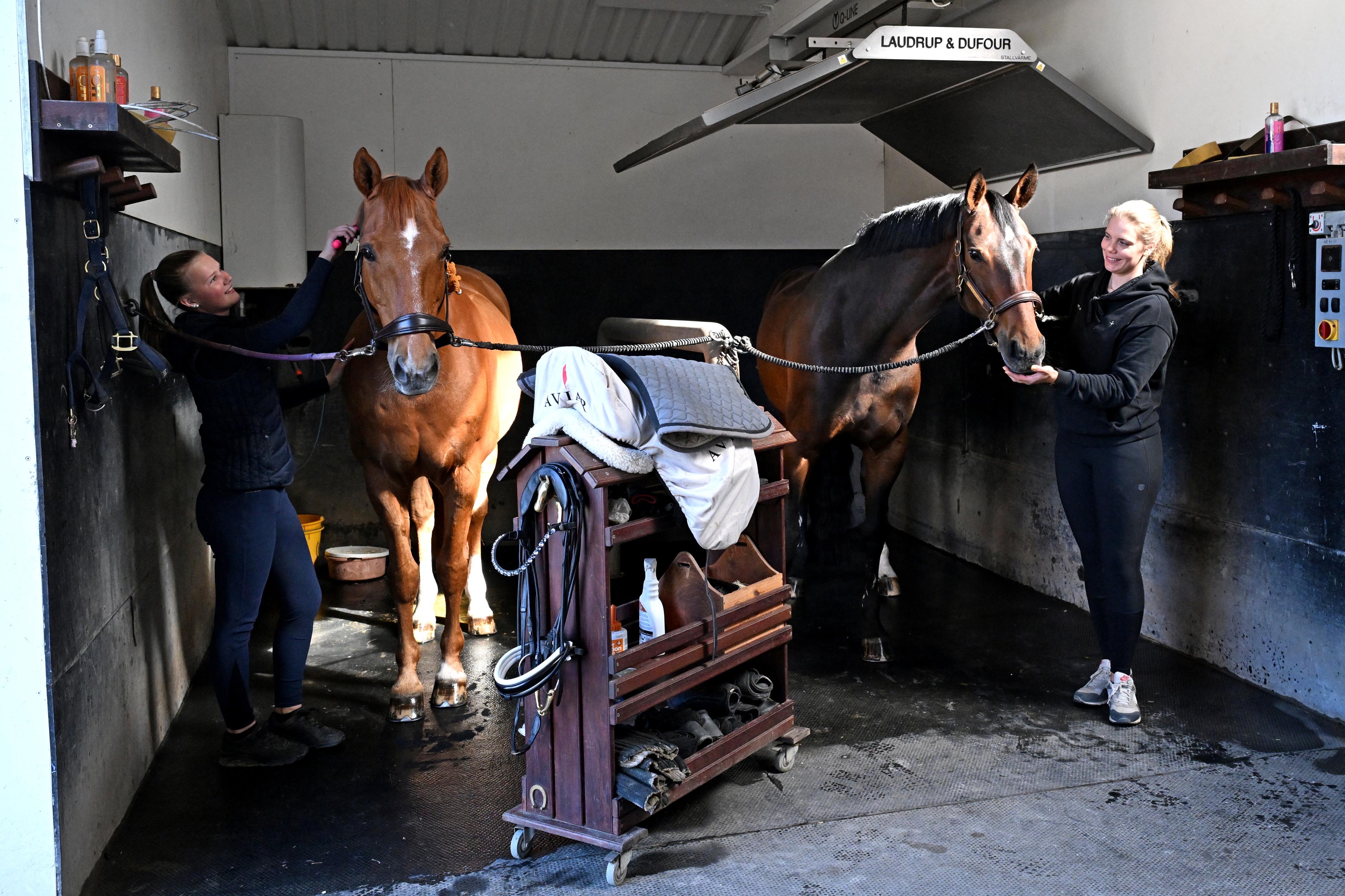 Julia Pasti ja Sofia Manninen Tanskassa hoitamassa huippuhevosia Atterupgaards Cassidyä ja MSJ Freestylea. 