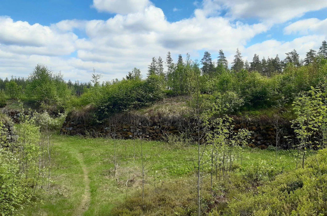 Talkoolaiset raivasivat pienpuuston peittämän Ukin linnoituksen vallit, jotta ne eivät sortuisi.