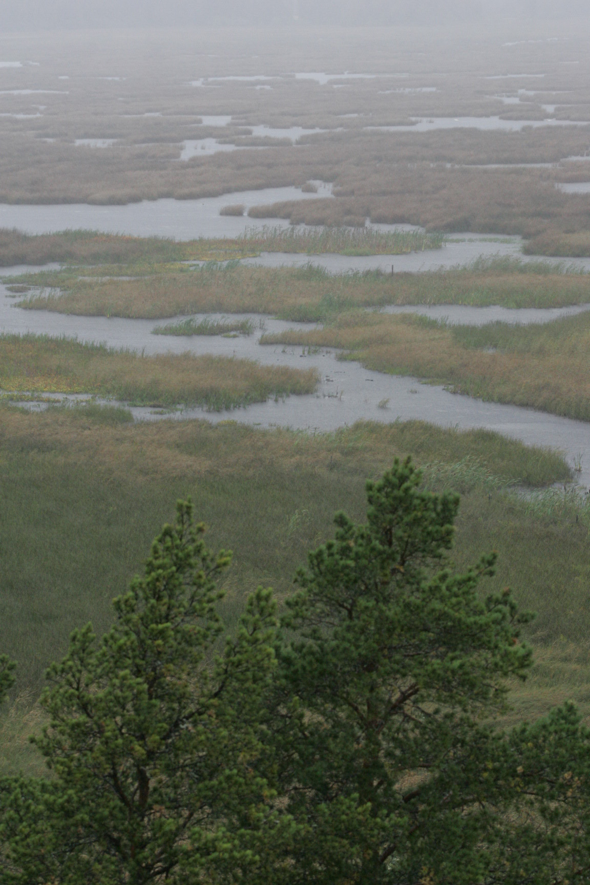 Maan etelä- ja keskiosissa on yleisesti tihkusadetta.