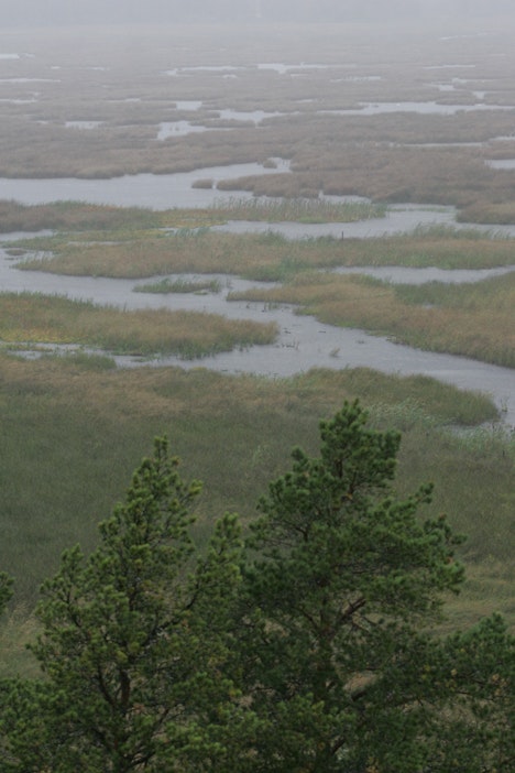 Sää lauhtuu entisestään ensi viikolla. Matalapaineiden mukana saapuu sateita.