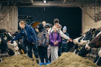 Uomarinteen koulun viidesluokkalaiset kulkivat Elina Toikan johdolla ruokintapöytää pitkin. Vieraisiin tottuneet eläimet katselivat kulkijoita lehmänhermoisina. 