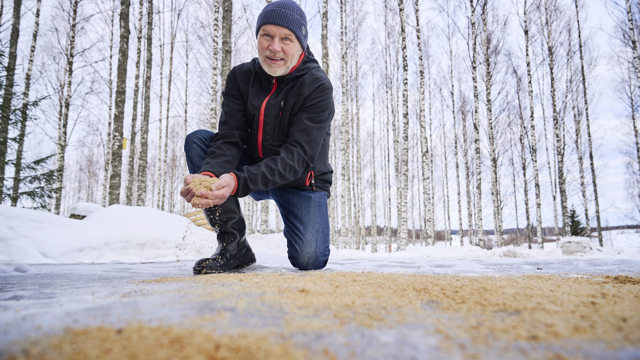 Sahanpuru toimii jäällä kuin hiekka - ellei jopa paremmin. Ajatus sahanpurusta liukkauden torjunnassa on itänyt Olavi Penttisellä pitkään.