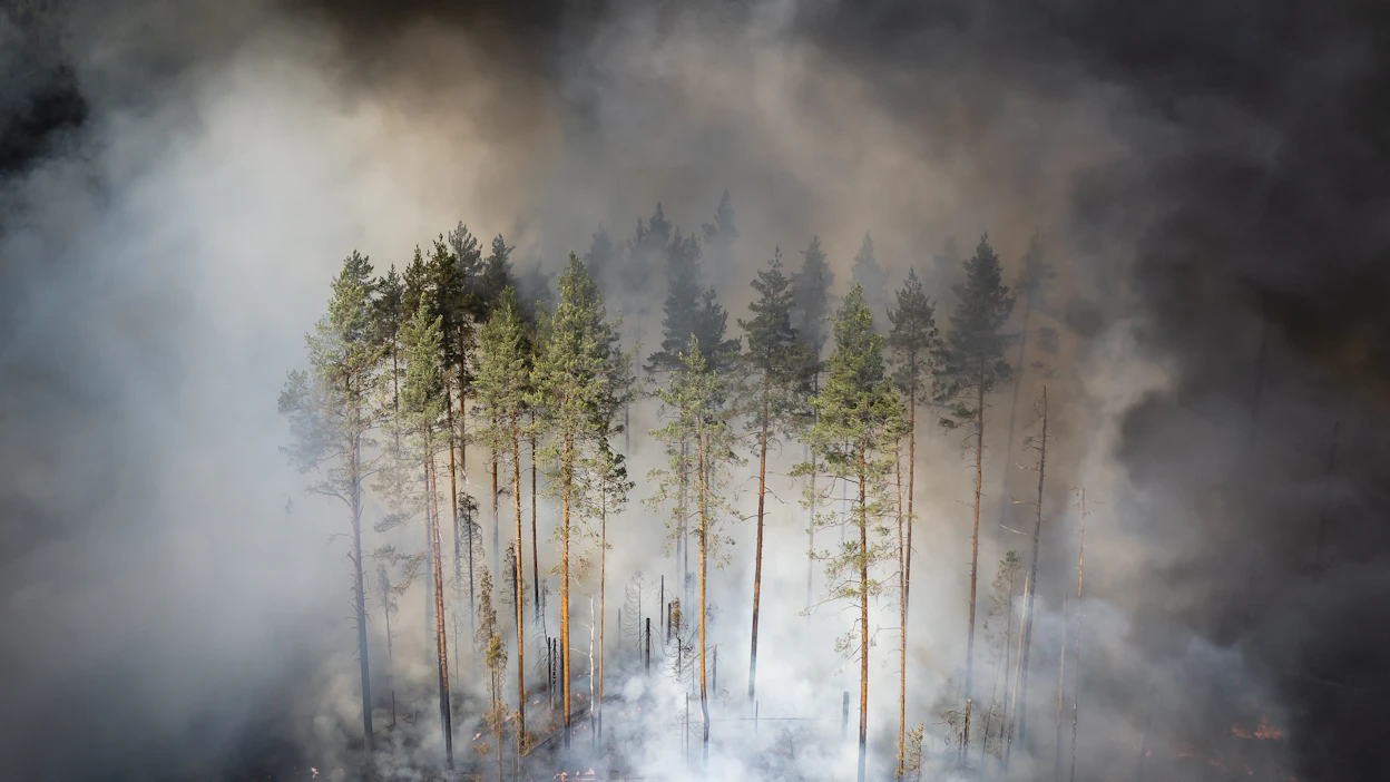 Maastopalot voivat heikentää ilmanlaatua tuhansien kilometrien päässäkin.