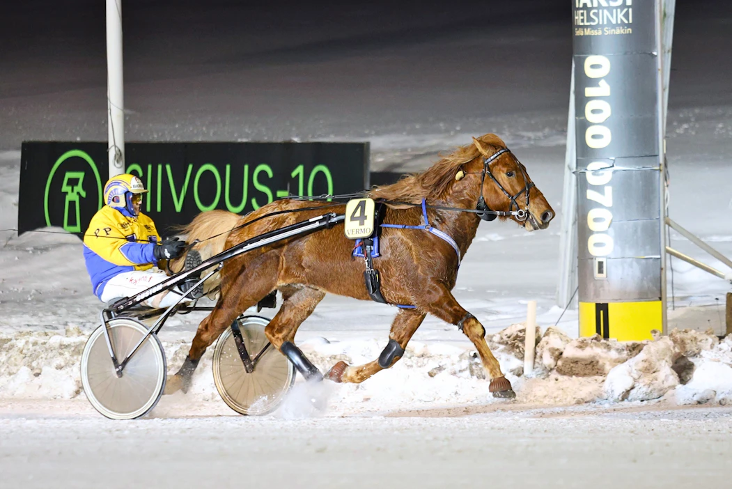 Pertti Puikkosen Villiniitti on startannut tänä vuonna neljä kertaa, ja yhtä monta kertaa se on kaartanut voittajaesittelyyn.