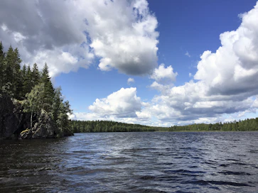 Virusten ote kirpoaa kesällä hetkeksi pohjoisella pallonpuoliskolla, mutta syytä ei tiedetä tarkasti.
