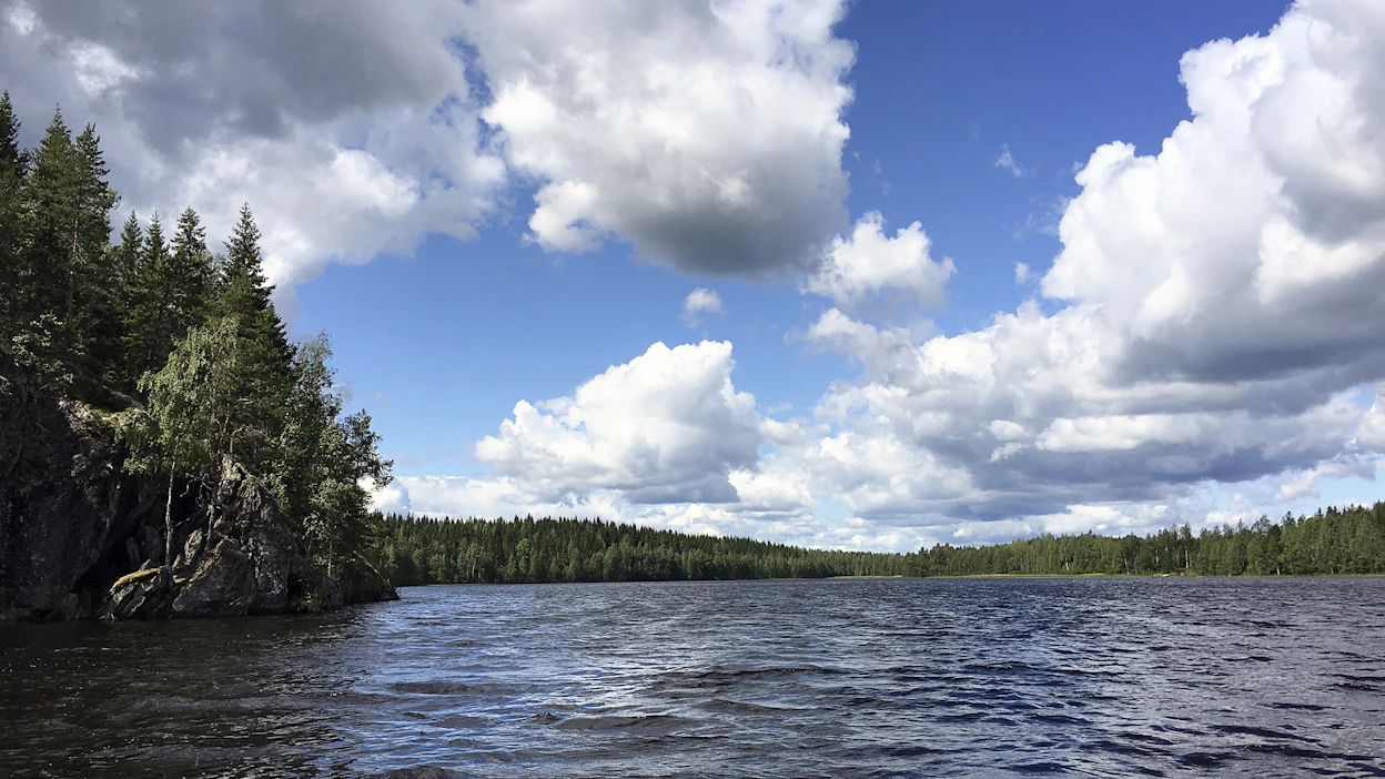 Virusten ote kirpoaa kesällä hetkeksi pohjoisella pallonpuoliskolla, mutta syytä ei tiedetä tarkasti.