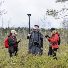 Metsähallituksen Päivi Virnes seurasi keskiviikkona, kun Tapion kartoittajat Asmo Hyvärinen ja Ellinoora Leivo tekivät korkeusmittauksia Muhoksen Reikäsuolla.