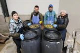 Ukrainalaiset Yulia, Max, Rusian ja Katia Chaplenko pakkasivat maanantaina kurkkuja Salossa Juho Vainion tilalla.