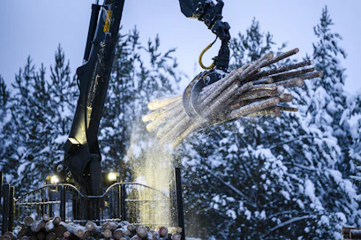 Yhdistymisen jälkeen Lapin alueella toimii kaksi metsänhoitoyhdistystä. 