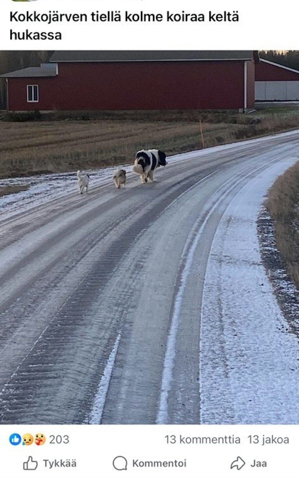Sosiaalisen median paikallisryhmästä löytyi tutun näköinen kolmikko.